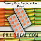 Ginseng For Reinforcing Kidney 27